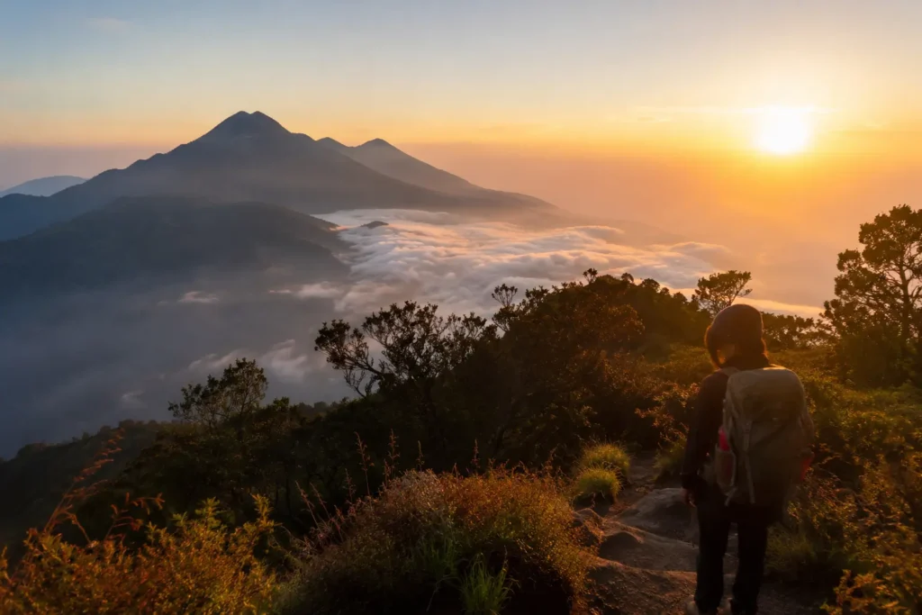 Mount Merbabu